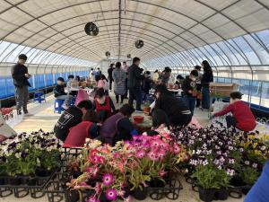 청양군, 초등학생 대상 ‘월동초화류 심기 생태체험’ 운영