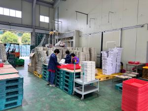 청정 청양에서 자란 명품 블루베리! 공동선별로 믿고 드세요!