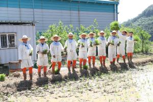 농촌지도자 청양군연합회, ‘권농일 손모내기’ 행사 열어