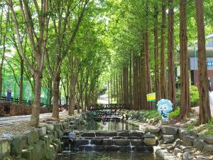 칠갑산자연휴양림 새 단장 마치고 여름철 개장