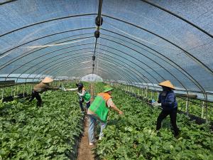 청양군지역자율방재단, 군민 안전 지키는 ‘여름철 파수꾼’ 역할 톡톡