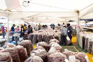 2025 청양고추구기자축제, 건고추 600g 1만5천원에 판매