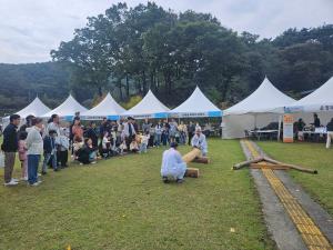 술과 나무, 전통의 향기로 물든 청양 가을