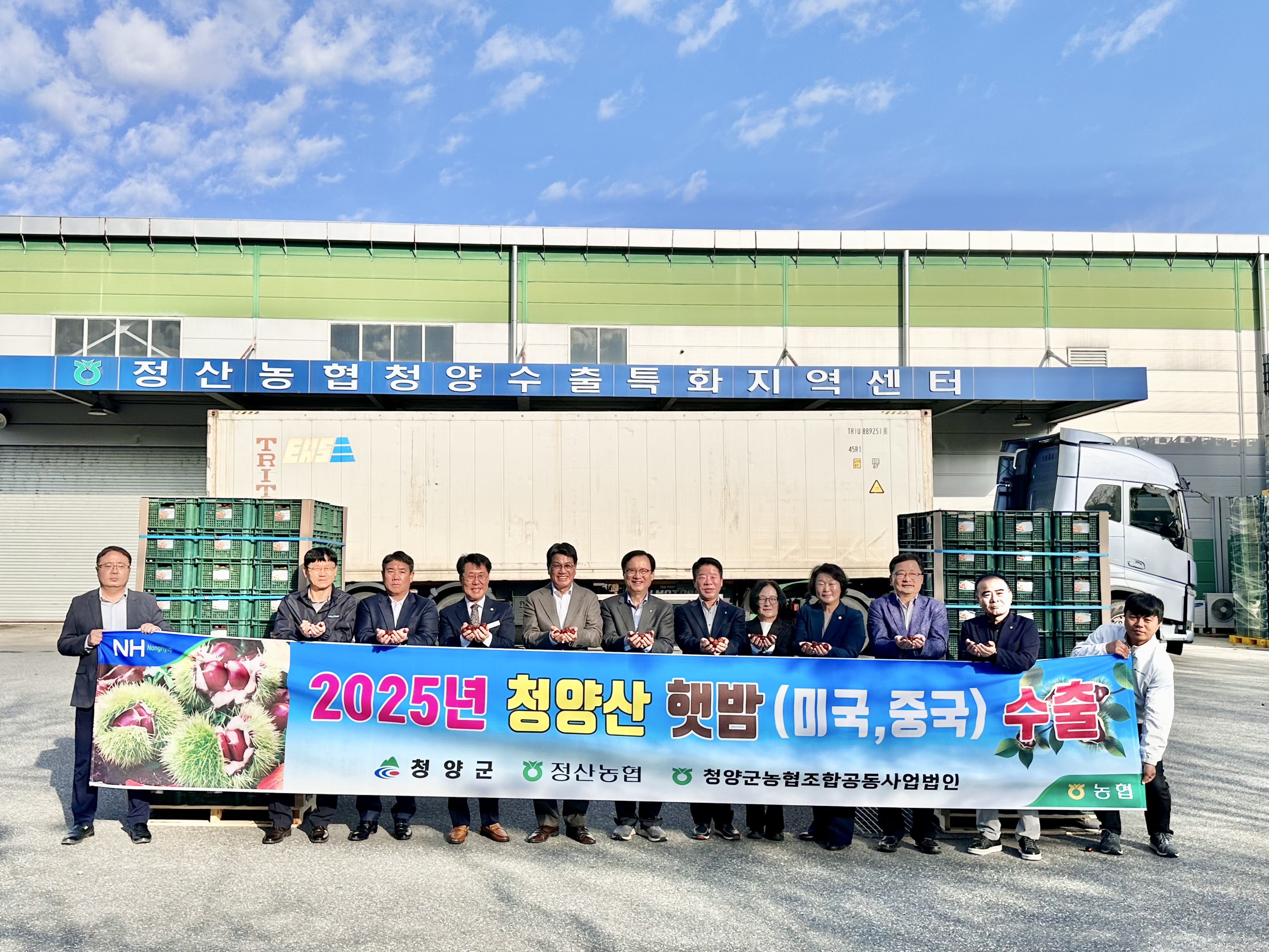 2025년 청양밤 해외 수출길 올랐다