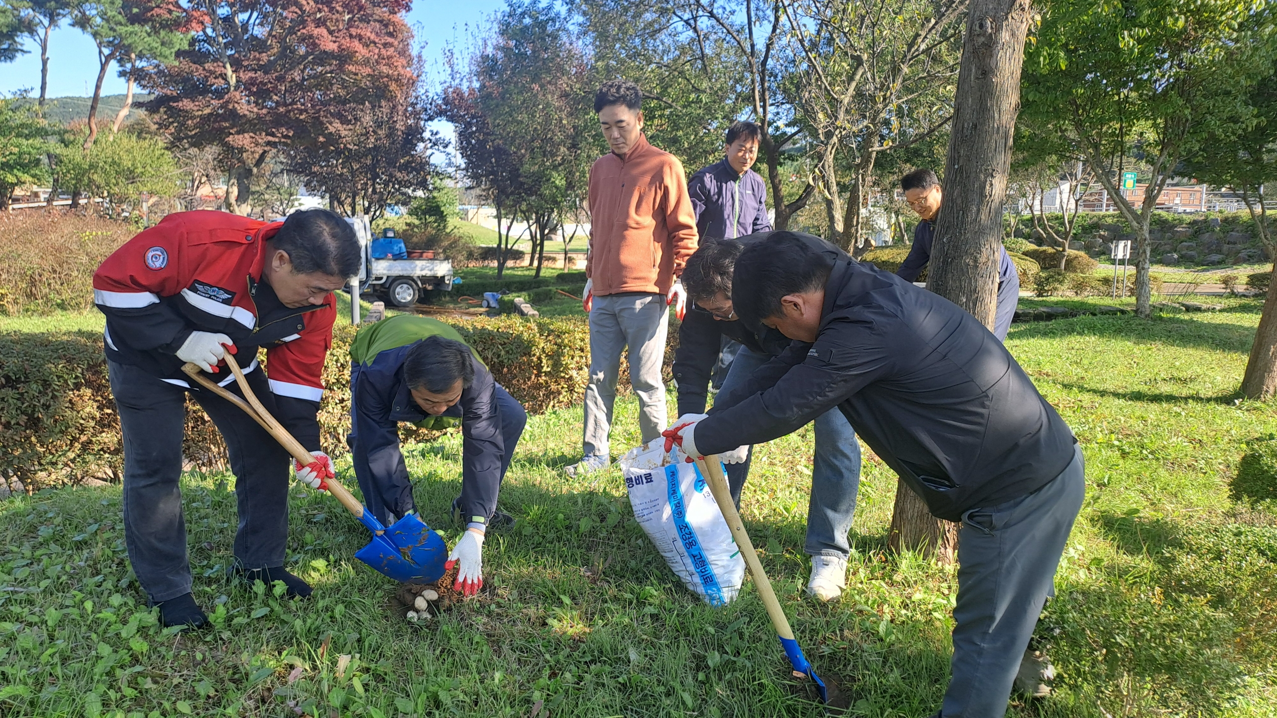 청양군, 건강한 숲 만들기 총력… 비료주기·잡초 제거·환경정비 병행