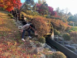 백세·지천생태공원 겨울철 대비 시설물 점검 실시