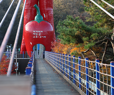 천장호 출렁다리