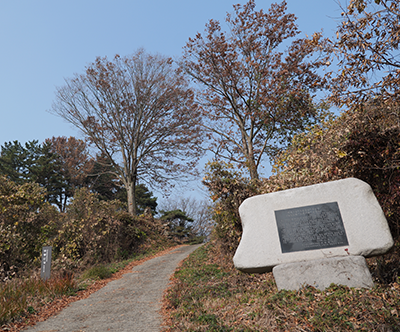 두릉산성(두릉이성)