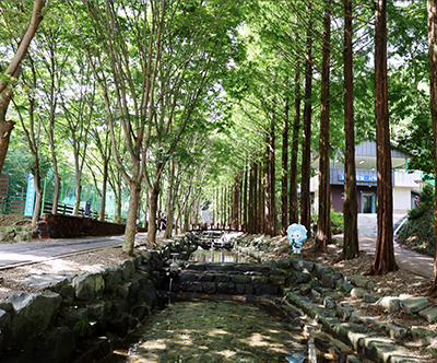 칠갑산자연휴양림