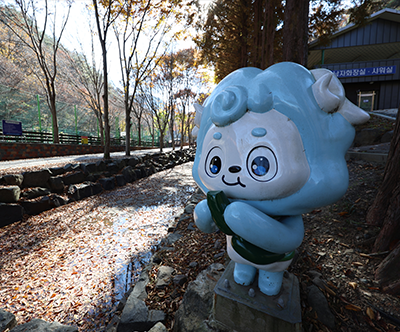 칠갑산자연휴양림