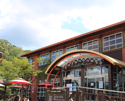 목재문화자연사체험관 1