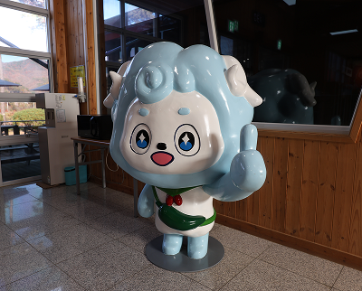 목재문화자연사체험관 3