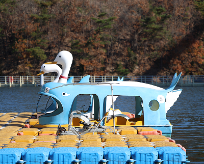 칠갑사니영농조합