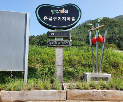 은골구기자마을