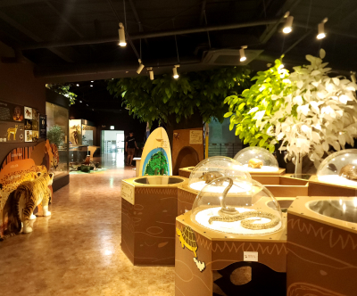 목재문화자연사체험관