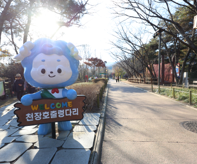 천장호 출렁다리