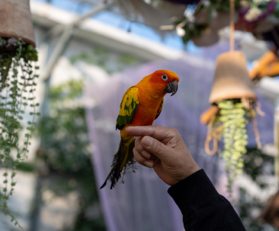 앵무새정원 꽃단지 카페